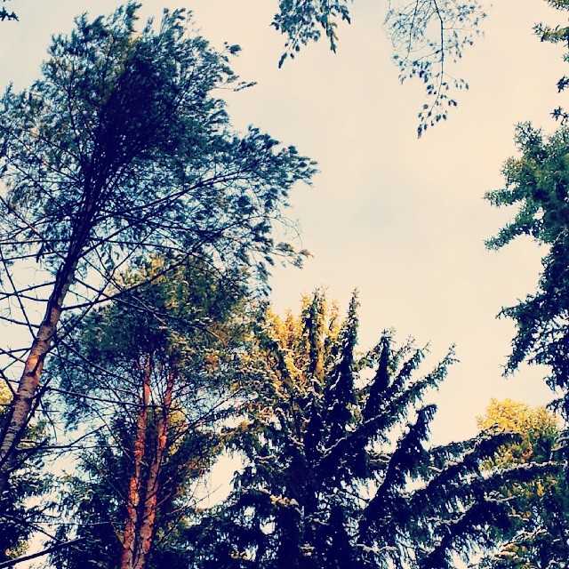 c6a905a0a4b011e3ae8a12d278585555_8